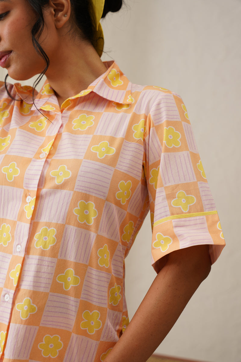 Daisy Delight