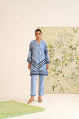 Blue Stripe Floral Print Velvet Tunic Set
