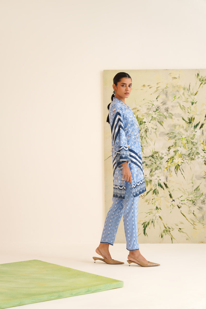 Blue Stripe Floral Print Velvet Tunic Set