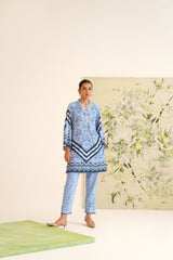 Blue Stripe Floral Print Velvet Tunic Set
