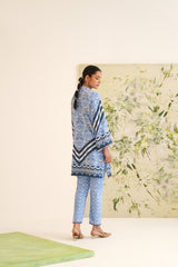 Blue Stripe Floral Print Velvet Tunic Set