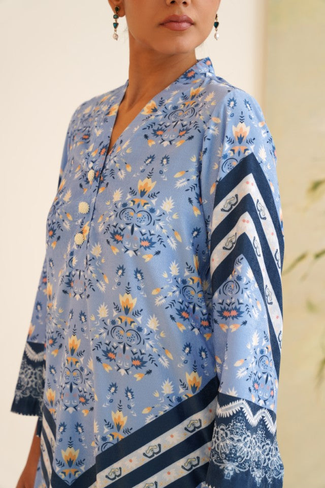 Blue Stripe Floral Print Velvet Tunic Set