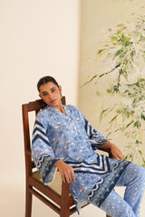 Blue Stripe Floral Print Velvet Tunic Set