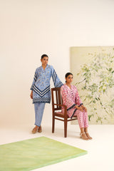 Blue Stripe Floral Print Velvet Tunic Set