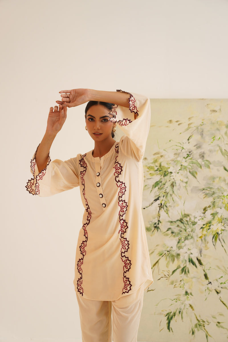 Beige Contrast Embroidered Velvet Co-ord Set